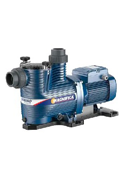 BombaPedrolloAgua BOMBA 1HP PISCINA MAGNIFICA 2M 110/220V PEDROLLO